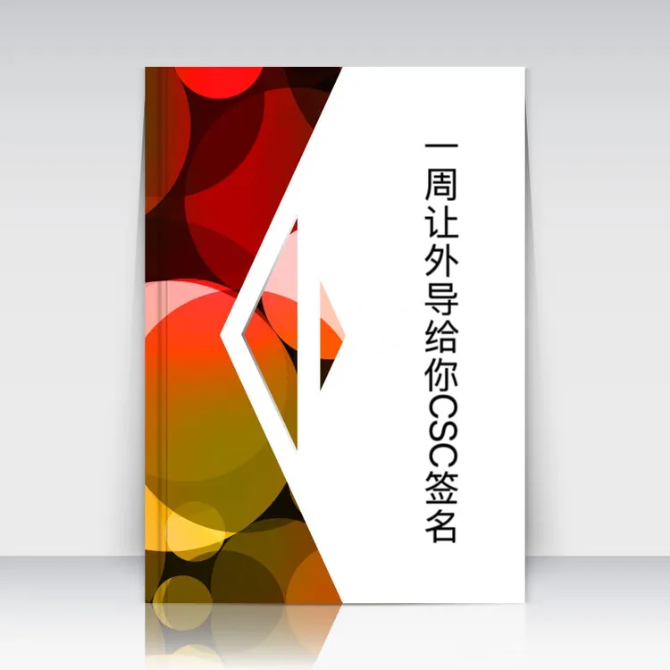 一周让外导给CSC材料签字offer附带详细电子材料