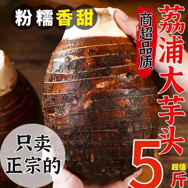 【原产地发货】正宗广西荔浦芋头新鲜现挖紫藤香芋芋艿大芋头毛芋头