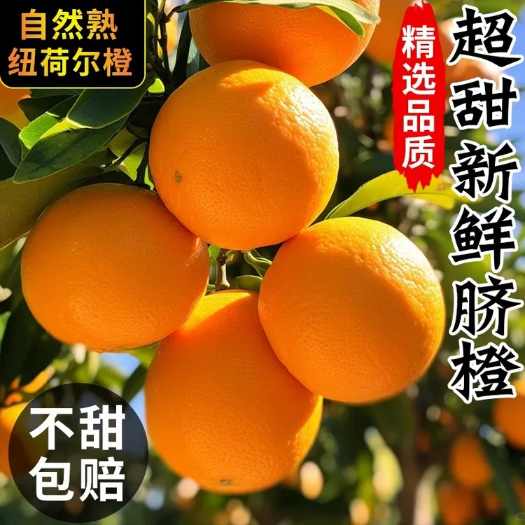 正宗高山纽荷尔脐橙新鲜现摘甜橙子当季水果