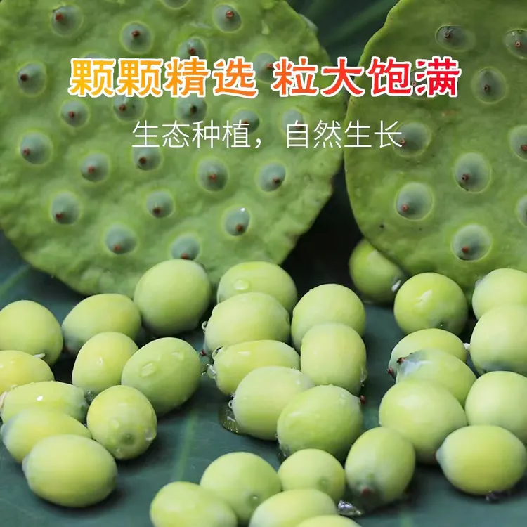 新鲜莲子米现摘生吃3斤甜嫩水果莲米当季孕妇广昌太空莲新鲜莲子