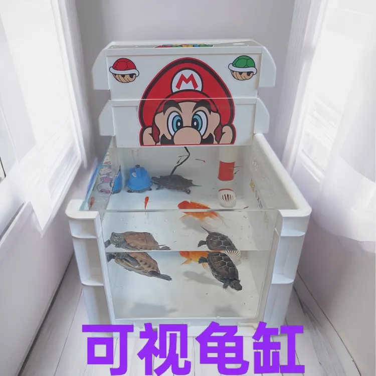 龟缸乌龟缸玻璃鱼缸循环过滤养龟箱可视鱼缸家用小型鱼缸乌龟缸