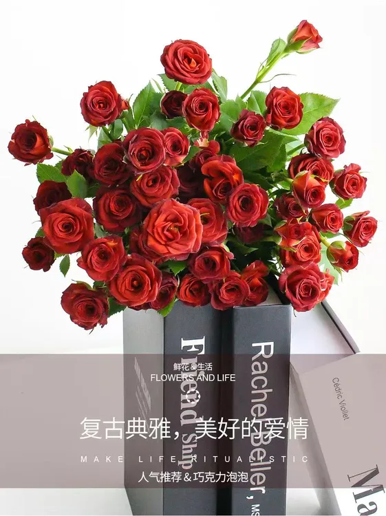 卓拉鲜花-巧克力泡泡多头玫瑰新鲜鲜花花束适合客厅装饰