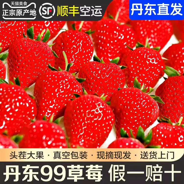 保甜正宗九九椅圈镇免洗99大丹东九九大丹东大丹东99大草莓