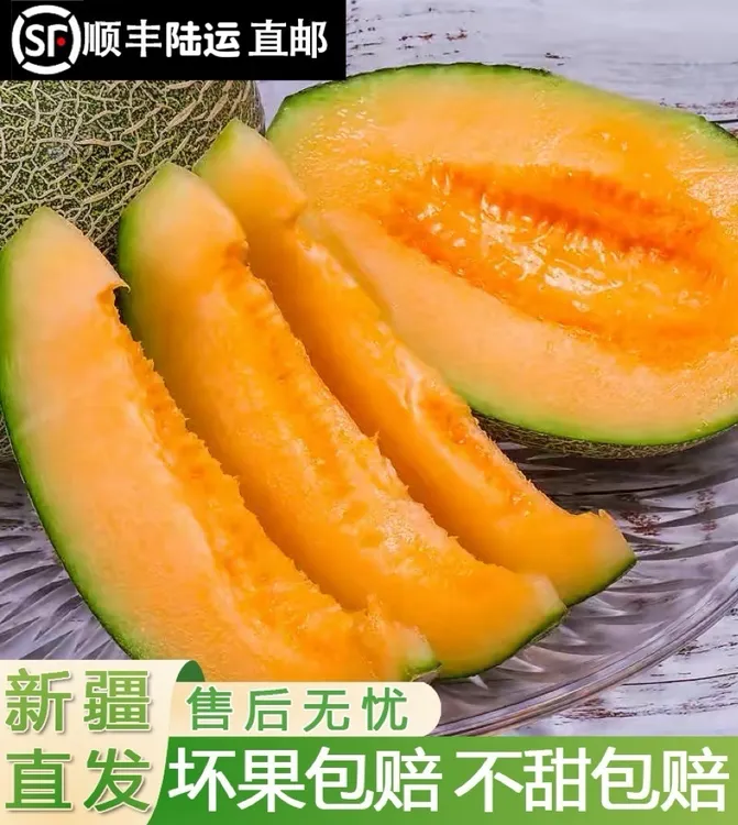 【顺丰陆运包邮】正宗新疆吐鲁番陆地头茬西州蜜25号哈密瓜