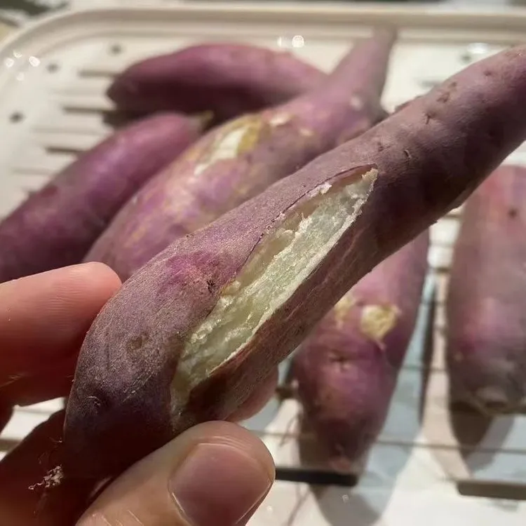 海南正宗三角宁地瓜粉甜白心红薯现挖一整箱富硒新鲜海南新鲜农家