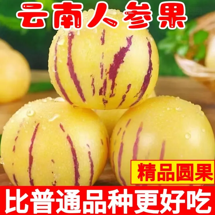 【老蒋推荐】云南石林树上熟人参果黄果黄肉大果高糖果新鲜人生果