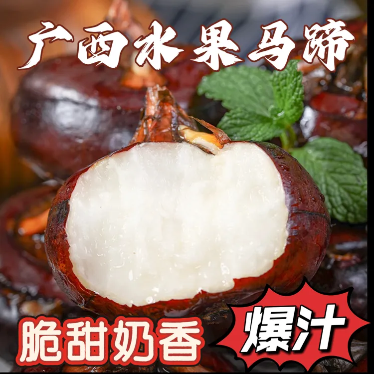 广西桂林红皮马蹄荸荠新鲜水果现挖地梨地栗农家自种特产整箱包邮