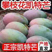 【现货10斤】攀枝花凯特芒果新鲜时令水果新鲜现摘大青芒整箱包邮