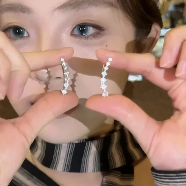 s925银针耳环2025新款爆款高级感一排式锆石耳钉轻奢小众设计感女