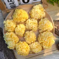  银耳 胶质满满 【叻叻猪】