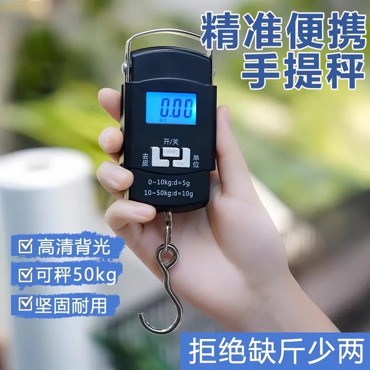 高精度手提电子秤家用小型便携式迷你弹簧秤手提秤称鱼买菜勾小称