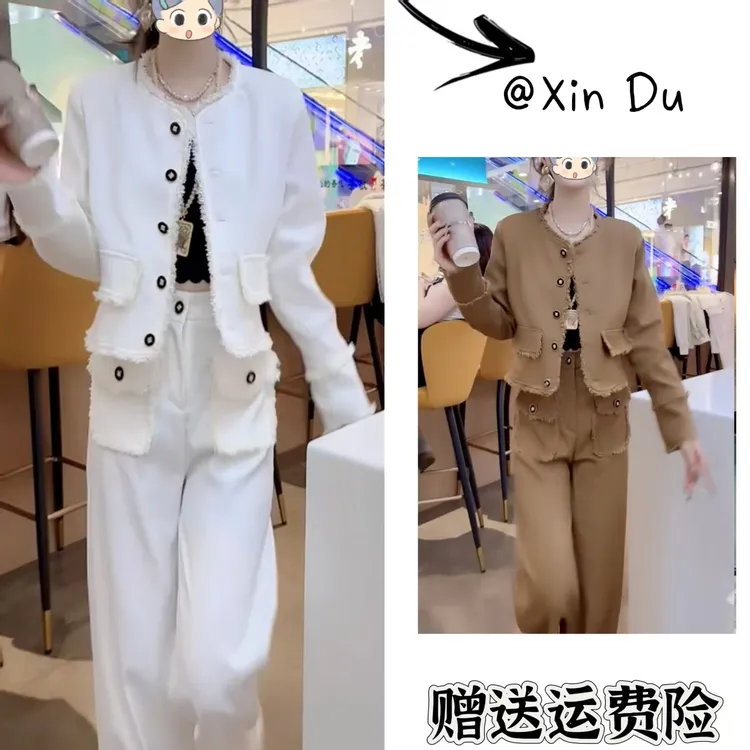 2025秋季新款时尚显瘦气质女士网红洋气两件套百搭款D23056