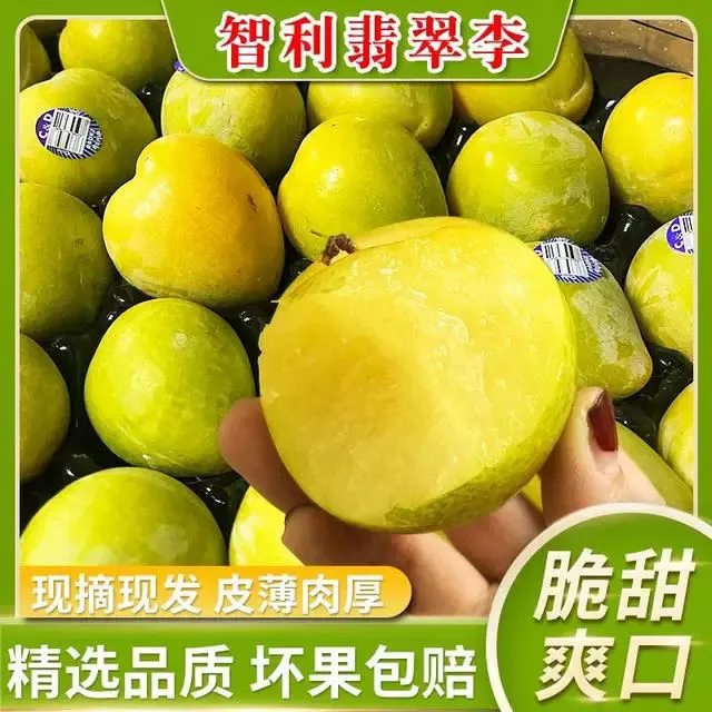 顺丰包邮智利进口翡翠李新鲜时令绿宝石李子皮薄肉厚香甜多汁