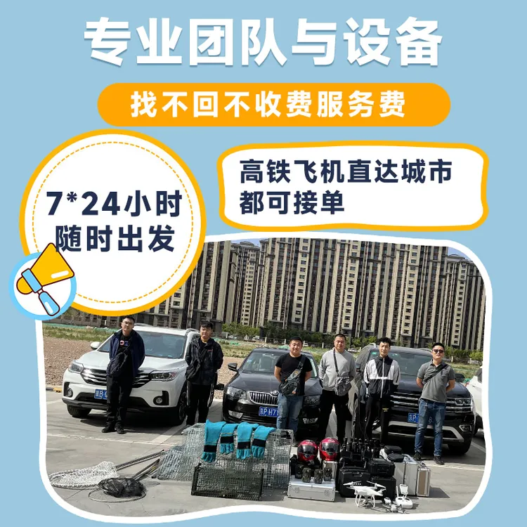 宠物寻找找猫服务找狗服务寻猫团队宠物侦探寻狗团队宠物搜救