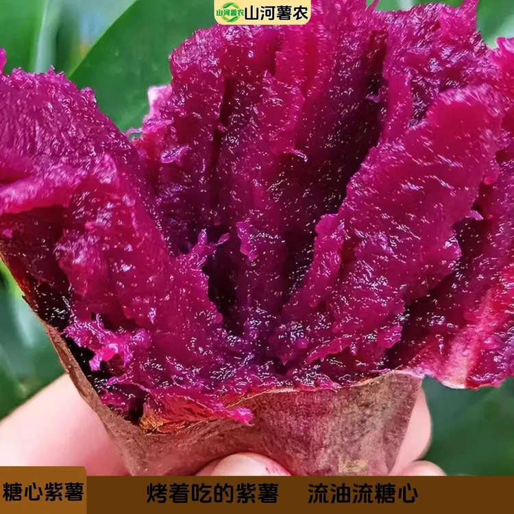 【糖心紫薯】沂蒙山沙地紫薯番薯红薯新鲜软糯香甜健康地瓜4.5斤