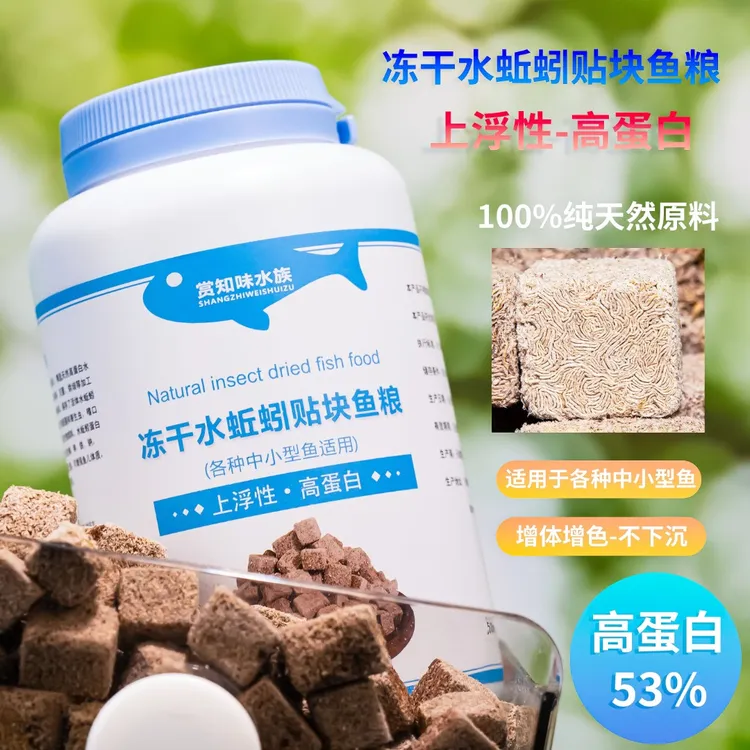 【水蚯蚓】冻干贴块 无其他添加的鱼食龟食红线虫 鱼粮龟粮 上浮型