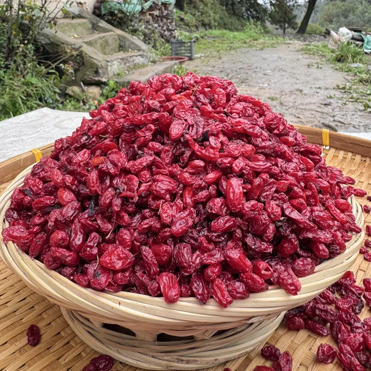 陇驰漫深山野生无核自然晒干山茱萸新货山萸肉枣皮山芋肉无染色
