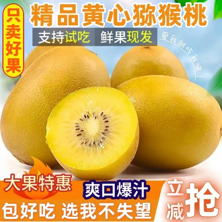 【首单特惠】精品四川黄金奇异果10/20个大果黄心猕猴桃现摘水果