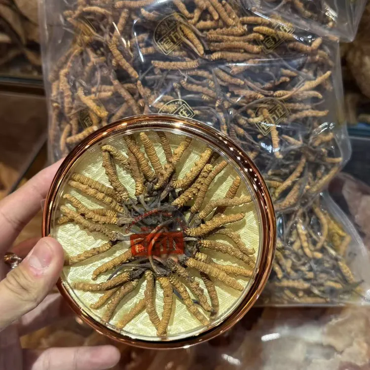 （吴哥推荐）官方庄 虫草炖汤煮水