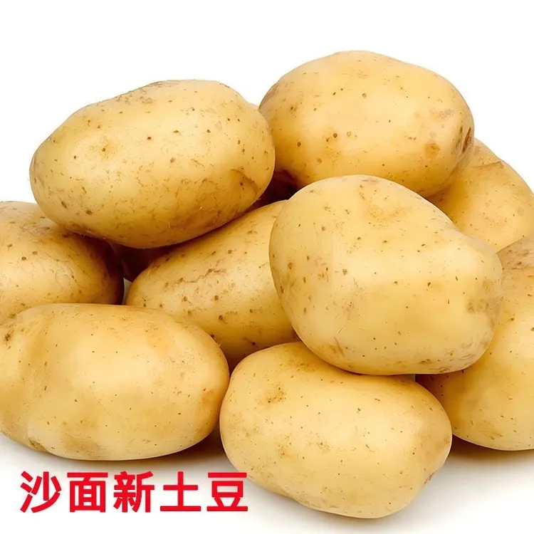 【光棍专属链接】土豆农家高山种植新鲜当季蔬菜粉糯沙面洋芋山药蛋