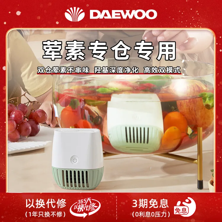 DAEWOO/大宇无线双仓果蔬净化器除农残自动洗菜机食材清洗机QX9