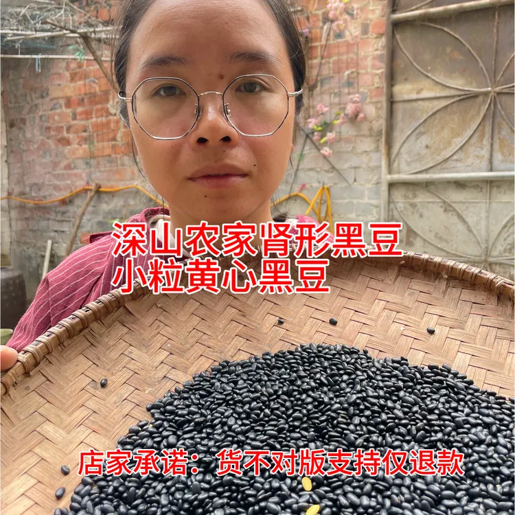 25年新货广西农村土货肾形黄心黑豆小粒1斤老品种深山种植不打药