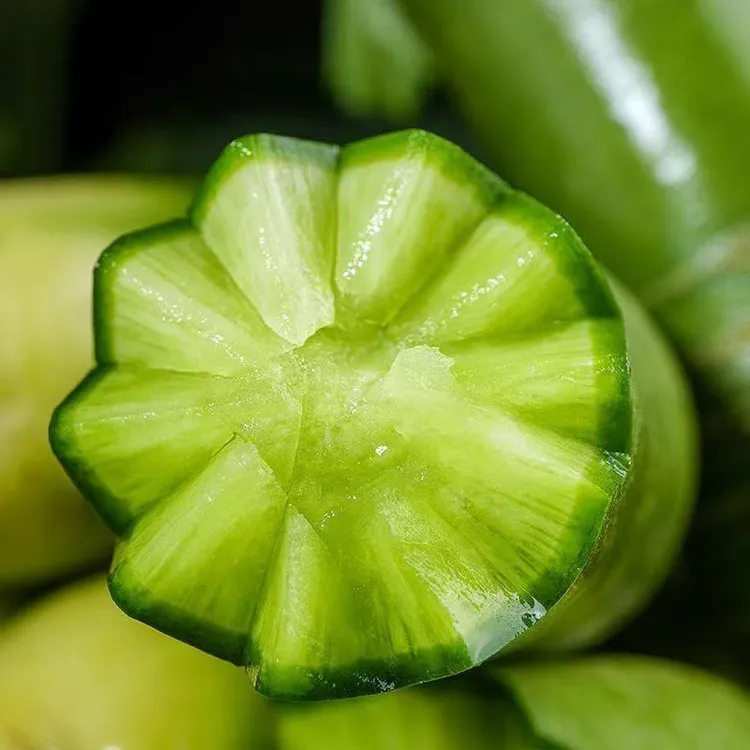 山东潍坊水果萝卜新鲜现挖脆甜爽口适合生吃当季农产品