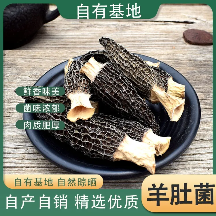 2025头茬干品羊肚菌自有农场自产自销羊肚菌