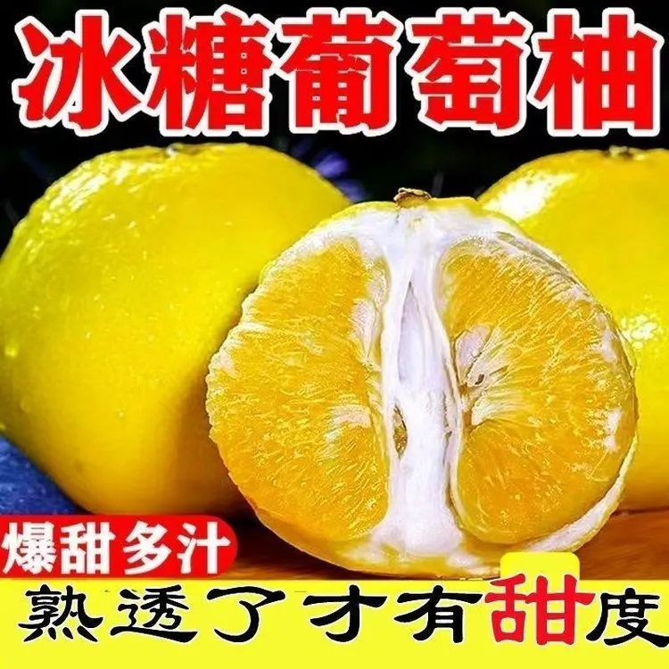 【爆汁】福建黄金爆汁葡萄柚超甜薄皮柚子西柚孕妇水果大果