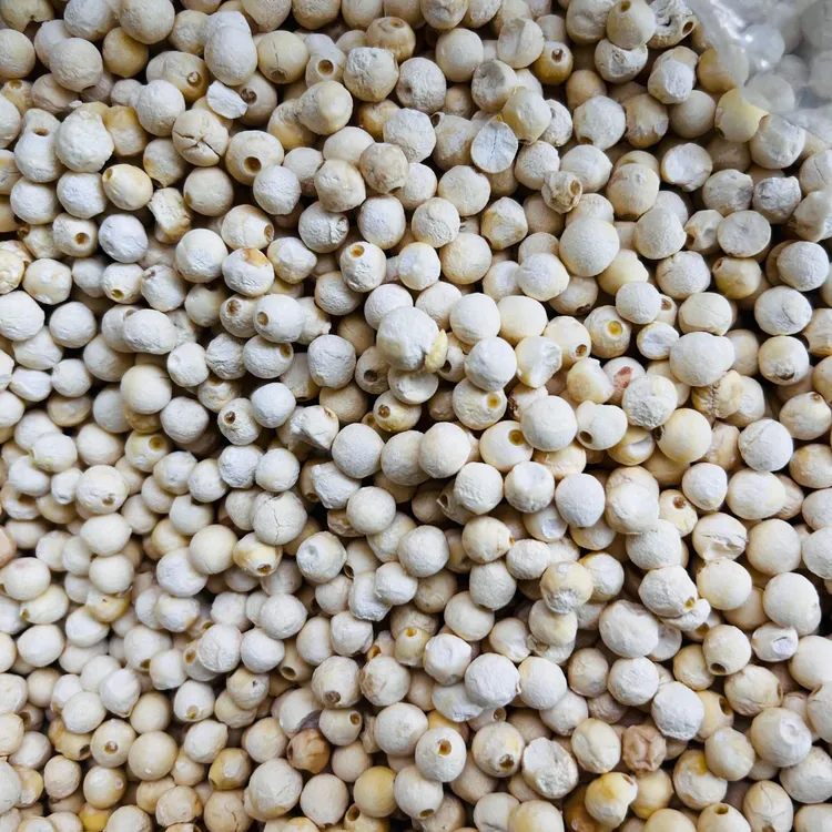 （信和臻选）2025新货苏芡鸡头米 粗面米黄 香 Q弹（冷冻储存）