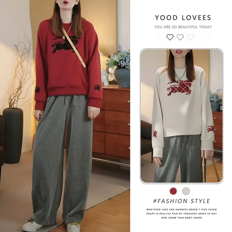 设计感小马刺绣T恤长袖T恤上衣女冬季新款撞色洋气减龄套头T恤潮