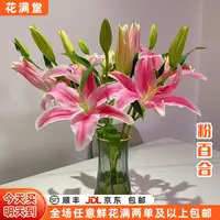 【次日达·仙气渐染】粉百合6-9头鲜切花·全场两单鲜花顺丰包邮·基地直发·鲜切花批发·家居花DIY·粉百合次日达