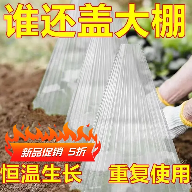 可重复方形使用植物钟罩保护植物免受鸟类蜗牛伤害植物罩防护罩