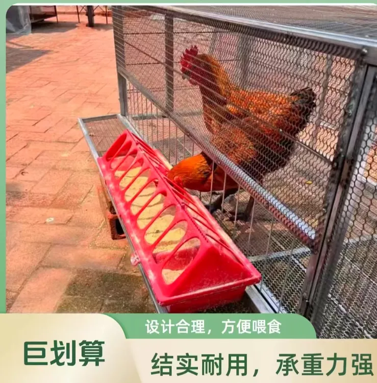 鸡笼鸭笼鸽笼兔笼特大号加密清仓防鼠家用养殖加厚鸡舍家用鸡棚