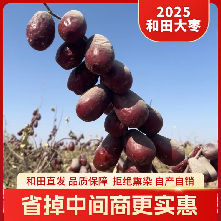 （新疆和田直发）新疆和田大枣原生态自然吊干不清洗皮薄肉厚包邮