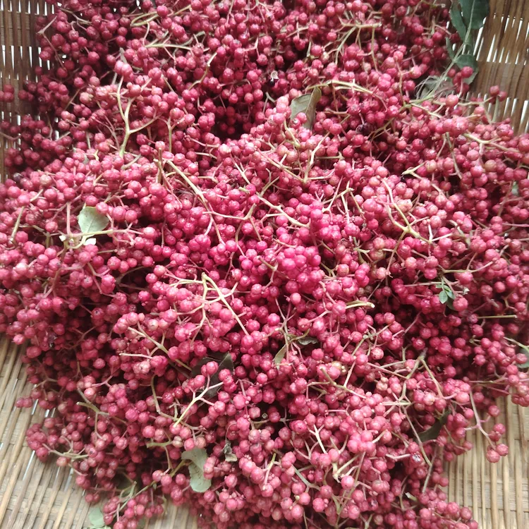 陇南文县大红袍花椒