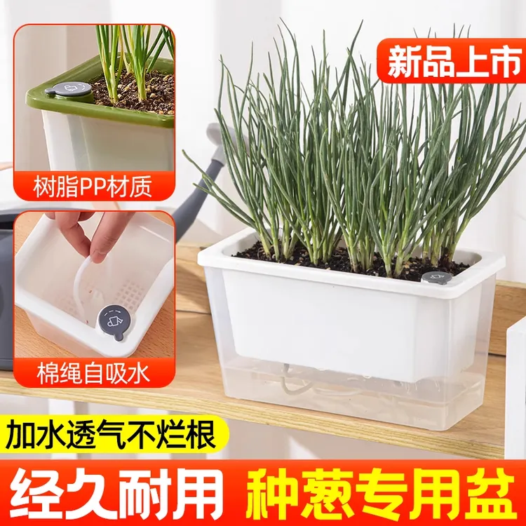 懒人自吸水种菜盆韭菜盆栽栽葱的盆庭院阳台种植蔬菜专用加厚树脂