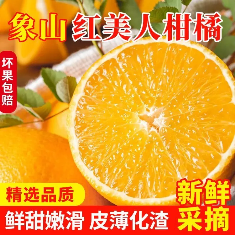 小满田塍产地直发象山红美人果冻橙新鲜现摘应季水果手剥甜橙