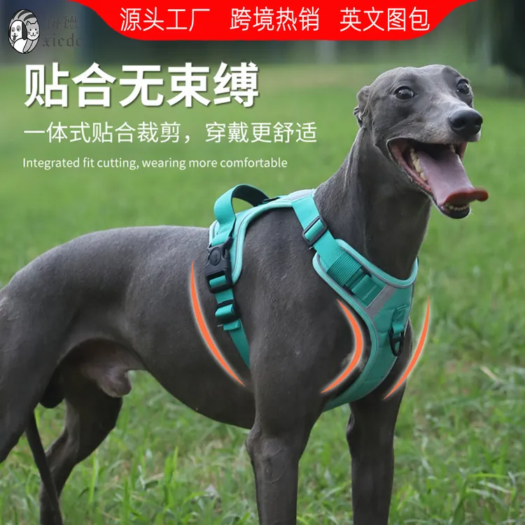新款宠物狗狗牵引绳胸背带背心式大型犬绳子不勒手反光条马甲