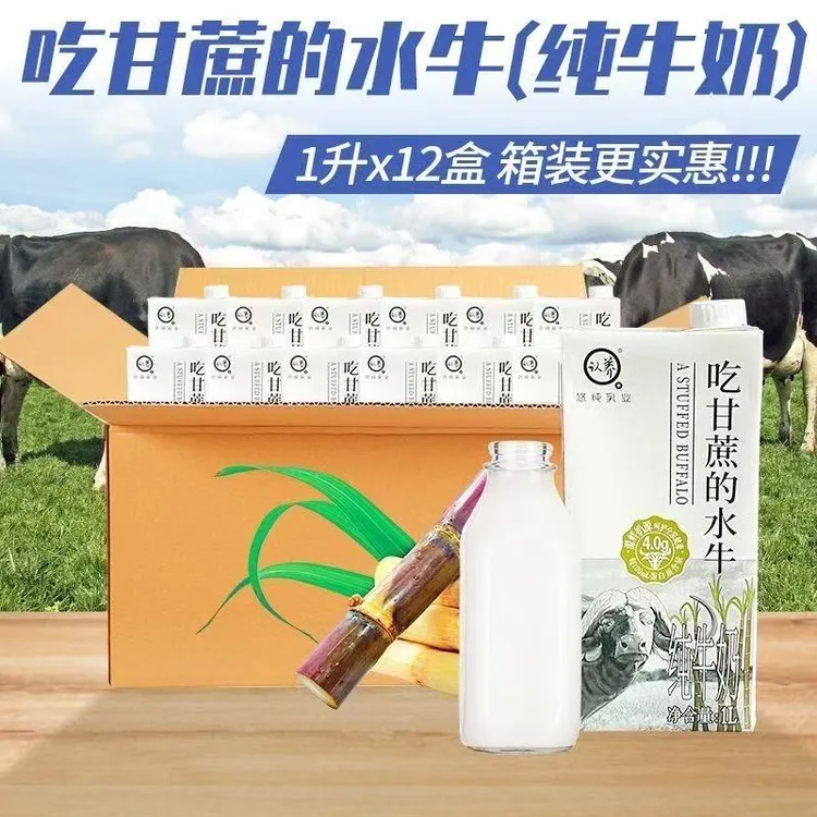 认养吃甘蔗水牛奶商用1L*12盒4.0g蛋白质 奶茶咖啡原料广西水牛乳