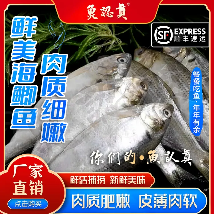 新鲜深海鯽鱼冷冻海鲜顺丰京东包邮