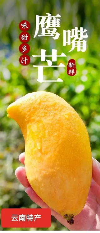 云南德宏潞江坝鹰嘴芒芒果新鲜当季热带水果