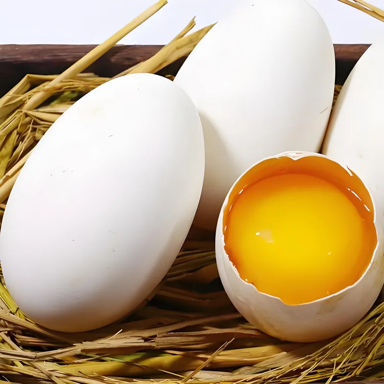 东北农家谷物散养笨鹅蛋顺丰包邮