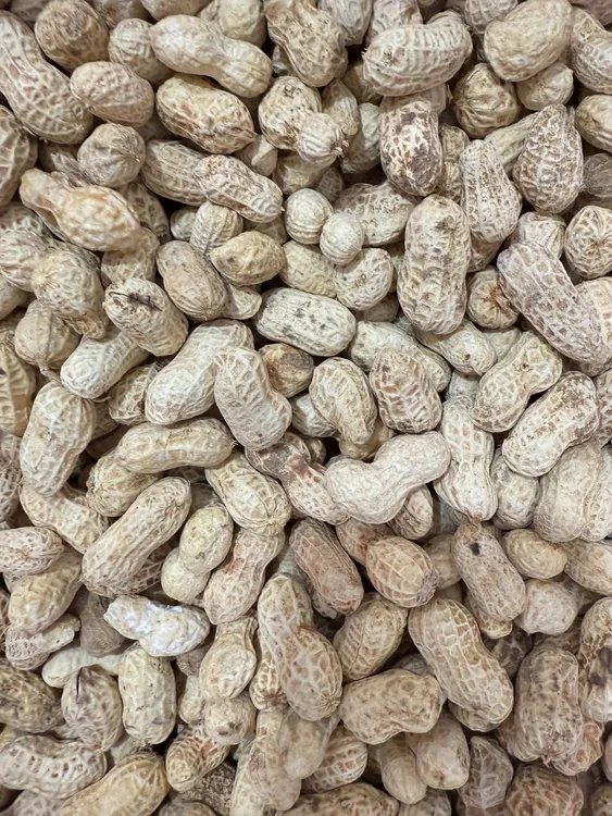 福建特产农家水煮日晒花生【8分干】