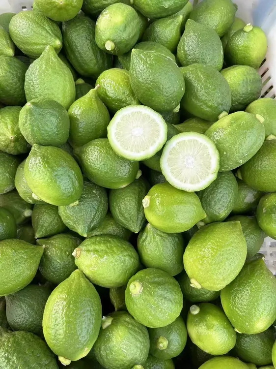 1斤广东香水柠檬新鲜正宗青柠檬无籽大果一级果应当季水果奶茶店