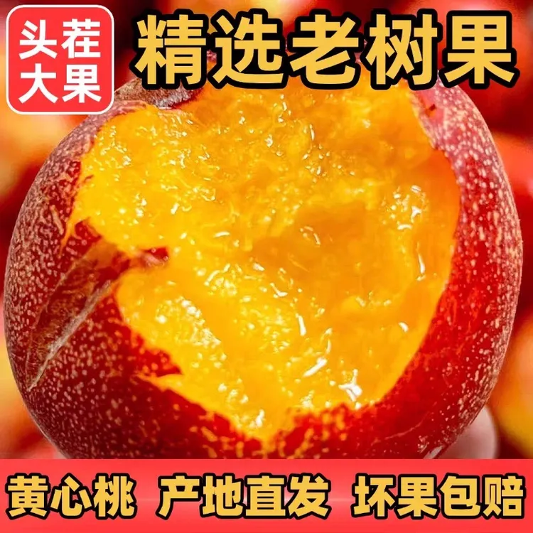 【升级顺丰】黄肉油桃脆软两吃现摘现发产地孕妈水果脆甜新鲜应季