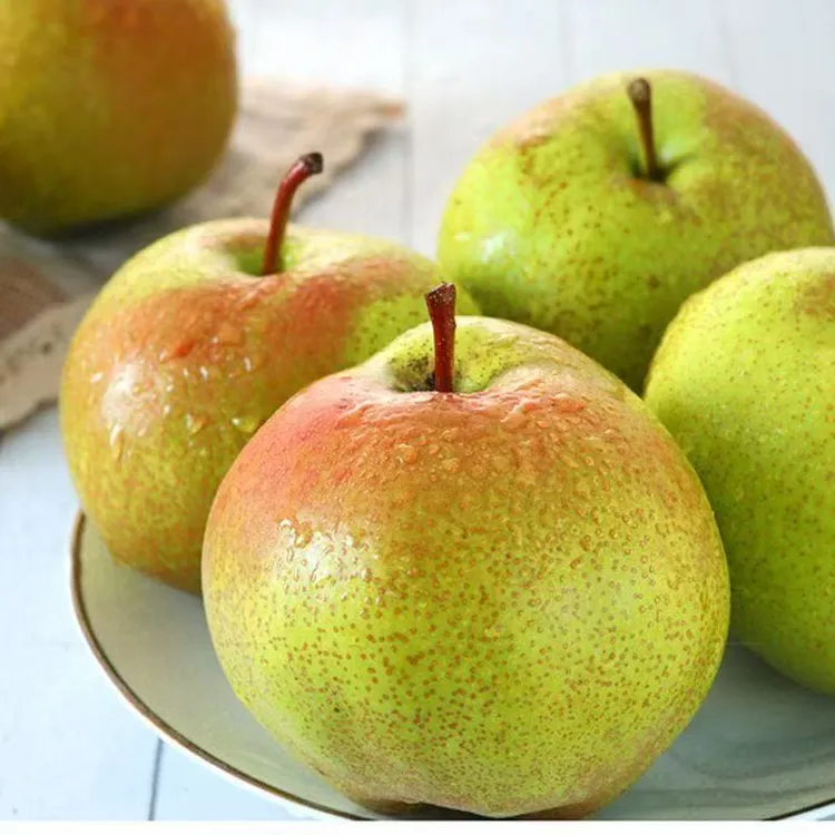 东宁苹果梨4.5斤（寒地果皮厚巨丑 但是特好吃）