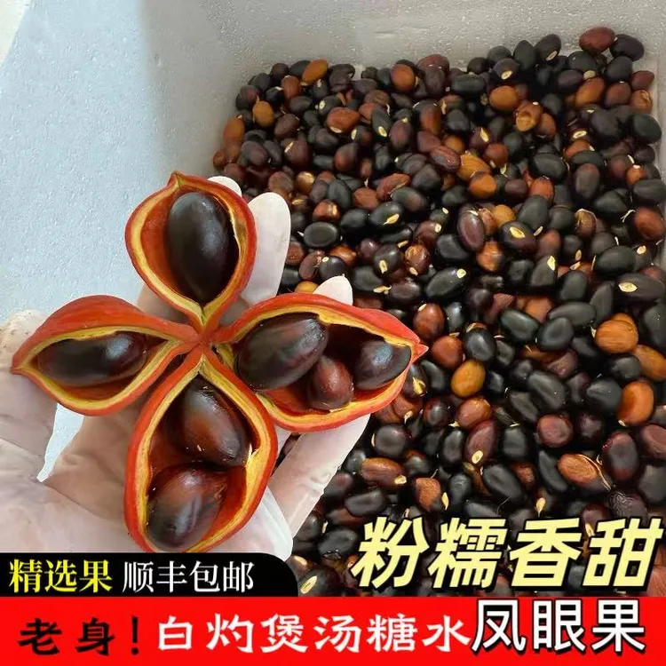 【顺丰】新鲜采摘凤眼果苹婆果富贵子九层皮煲汤焖肉汤水粉糯香甜