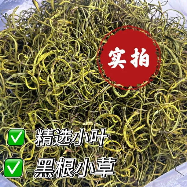 长白山小草 东北特产 精选小叶 泡水煮水 石头茶 非种植尝新