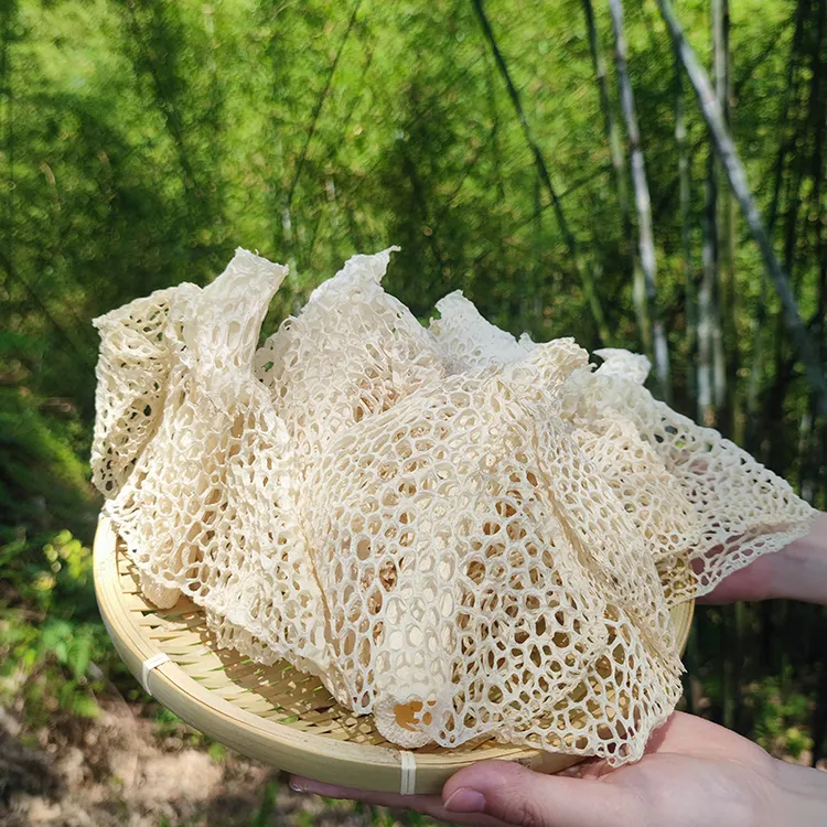 四川蜀南竹海特产长裙竹荪干货无硫长宁长裙竹荪四川特产宜宾特产